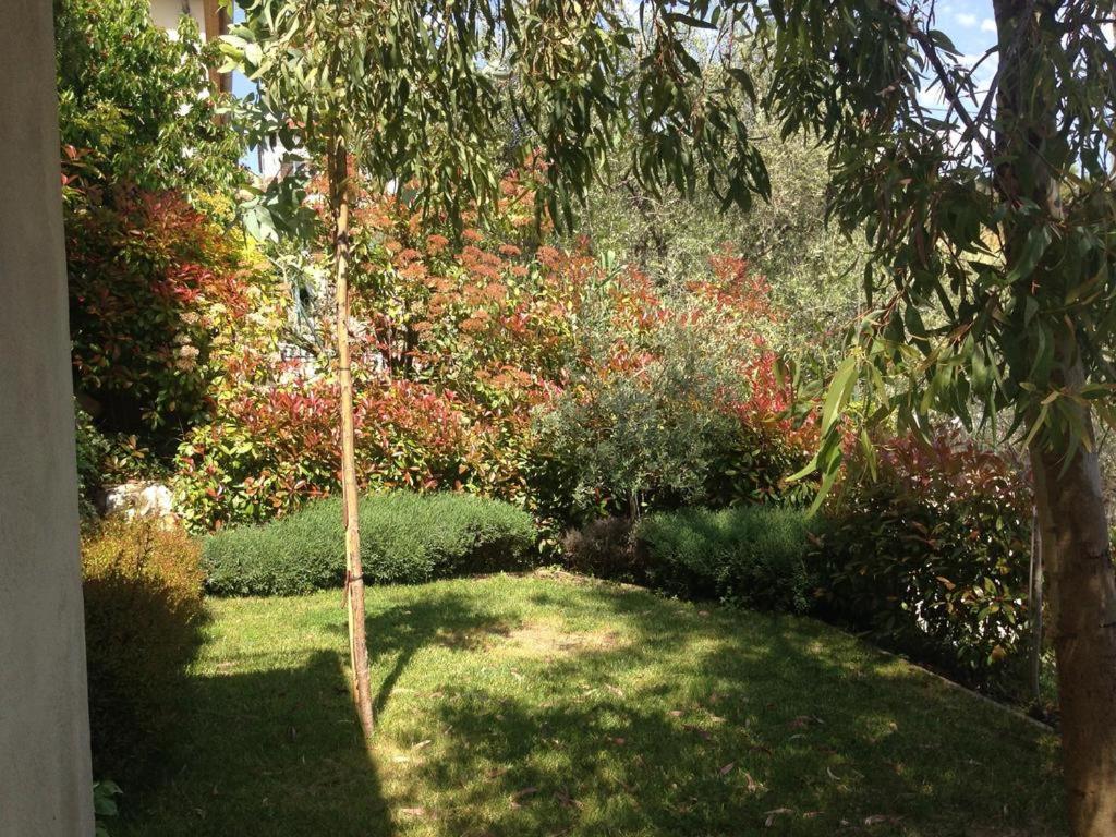 Villa 5* St Pancrace Nizza